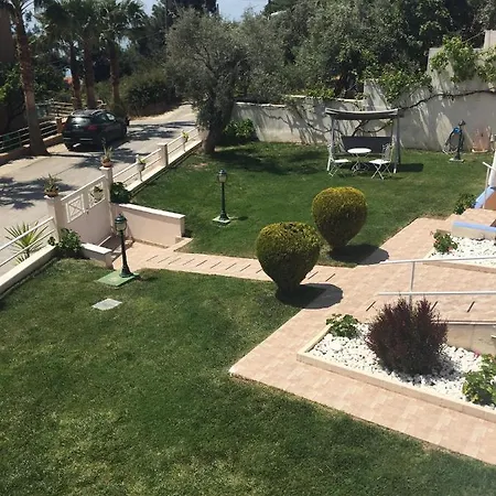 Gorgona Di Thassos Daire