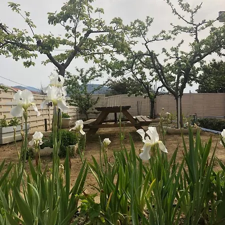 Gorgona Di Thassos *