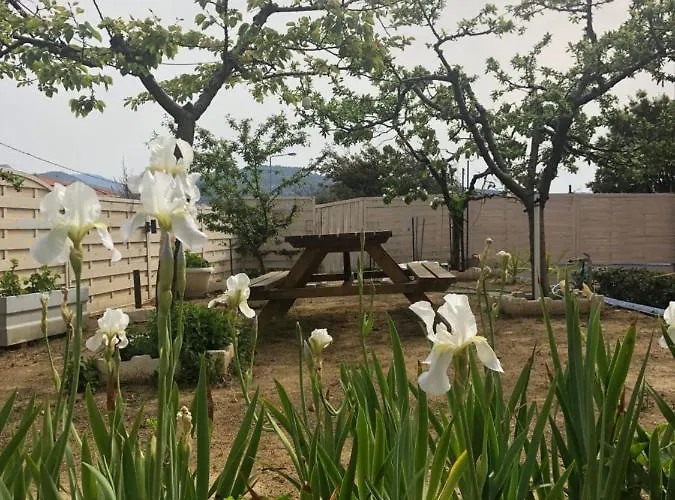 Gorgona Di Thassos *